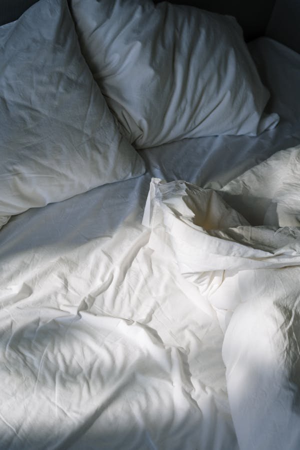 Stratégies efficaces pour se débarrasser des punaises de lit